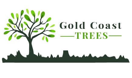 Gold Coast Trees